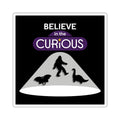 CURiODDiTY Square Stickers "Cryptids"