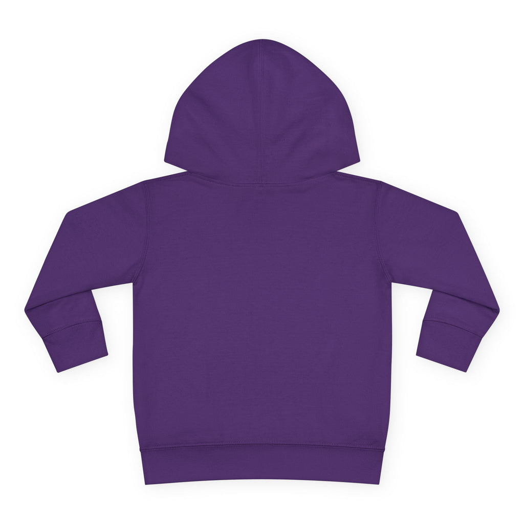 CURiODDiTY Toddler Pullover Fleece Hoodie